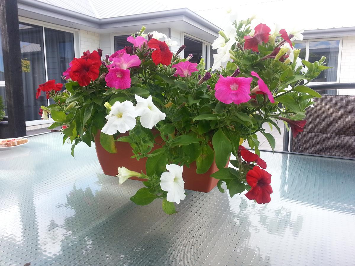Courtenay B & B Kaiapoi Екстериор снимка